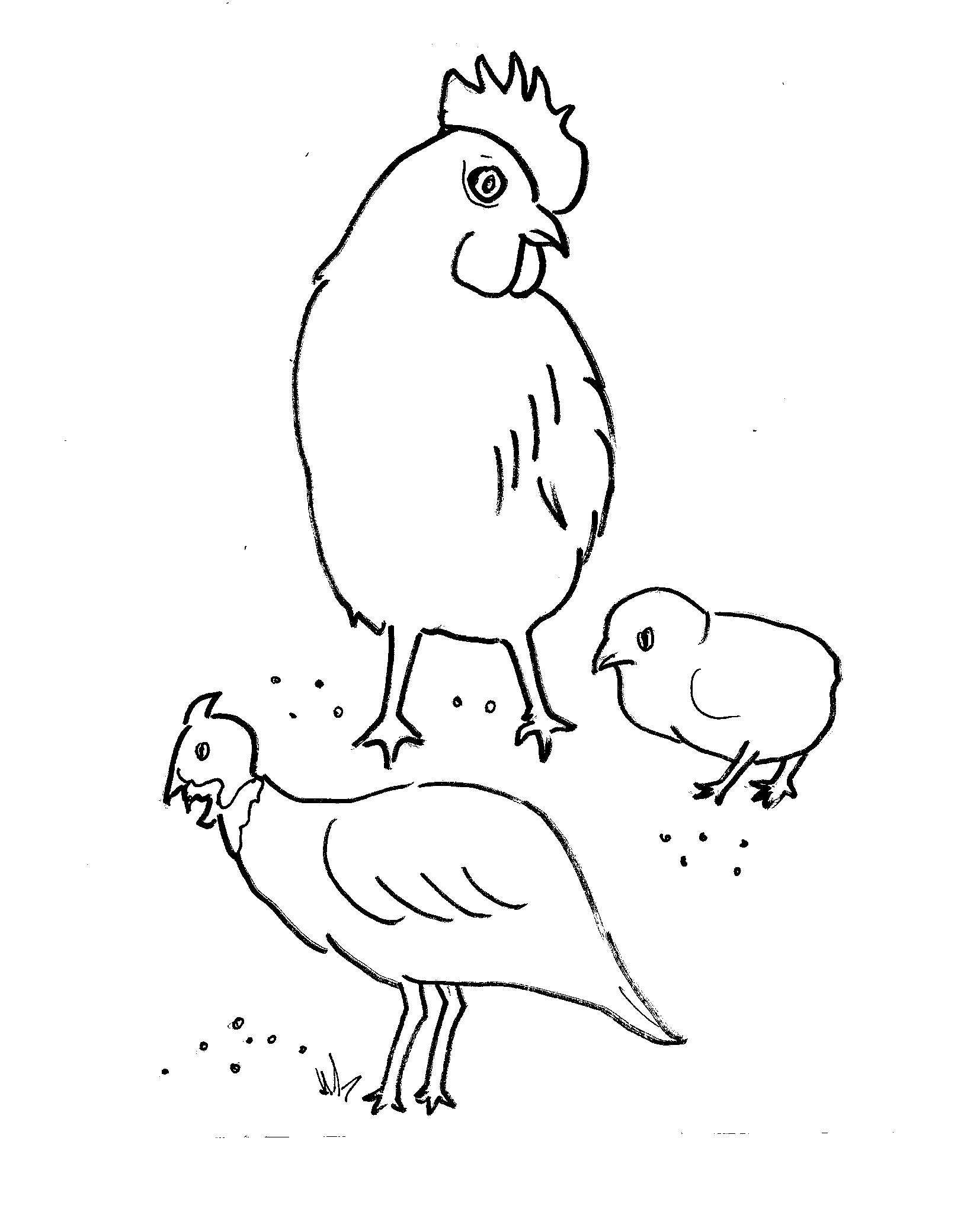 Disegni Da Colorare Bambini I Gallina Con Pulcino