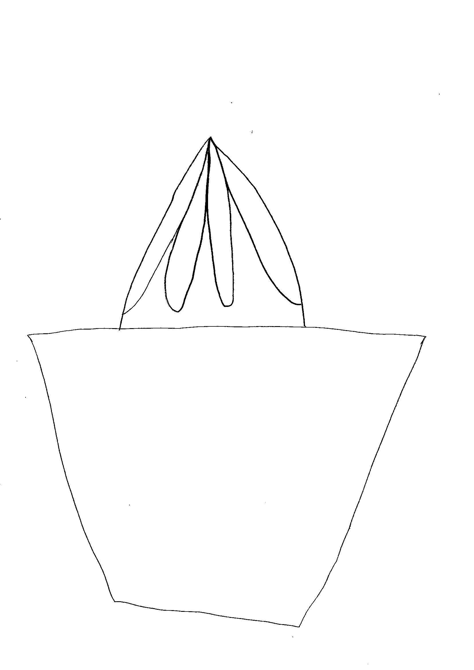 Disegni Da Colorare Bambini I Spremiagrumi