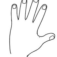 le-dita-della-mano-canzone-per bambini